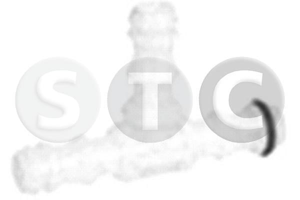 %s